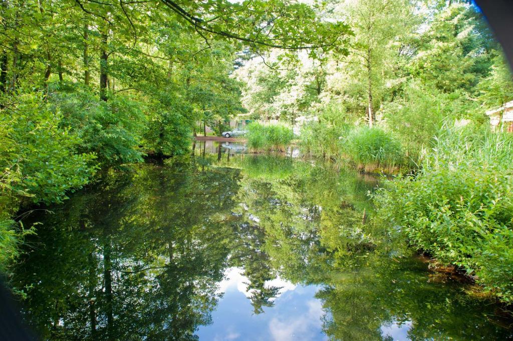 Vakantiepark De Berkenhorst Kootwijk Экстерьер фото